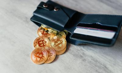 A wallet containg Bitcoins