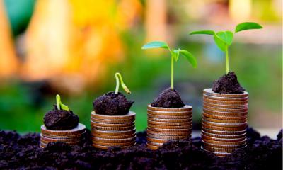 Growing Money - Plant On Coins Growing Money - Plant On Coins