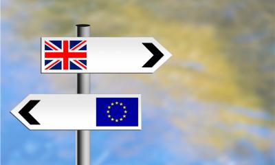 Many EU professionals could leave UK after Brexit Many EU professionals could leave UK after Brexit